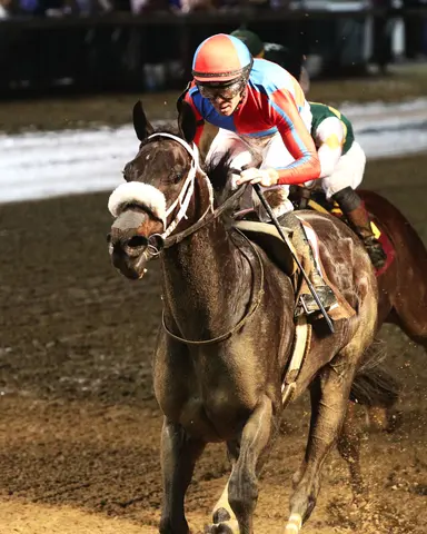 Moquett eyes another De Francis Dash win with improving Hymn
