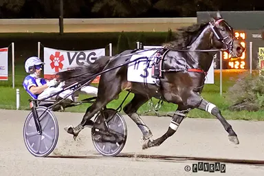 Scioto:  Emoticon Legacy clocks world record in Charlie Hill Memorial Trot