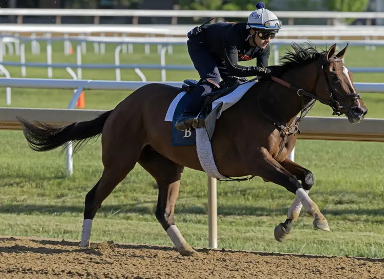 Always a Runner02.5-29-26.BL_.jpg