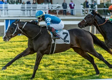 Gigante's upcoming honor highlights Virginia's growing bloodstock activity