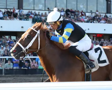 Street Warrior will have to fire off layoff to justify price