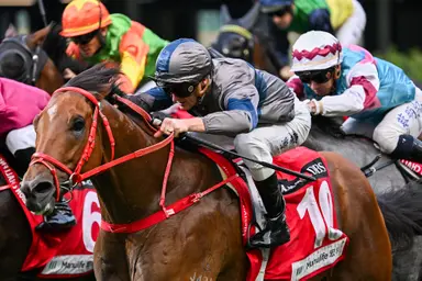 Hong Kong newcomers light up Happy Valley as Purton, Ho, Ferraris and Eustace land doubles