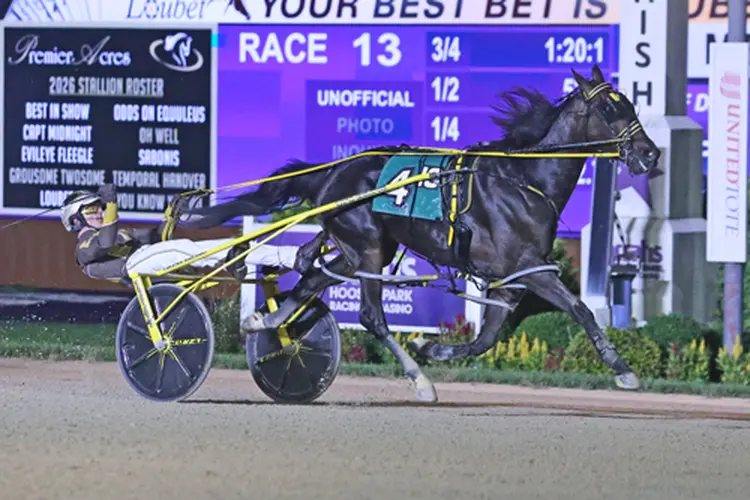 Dandy Ideal 8-14-26