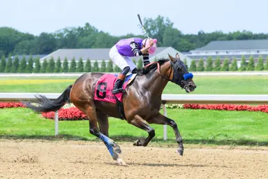 Fair and Square finally prevails over Who Dey in Governor's Buckeye Cup