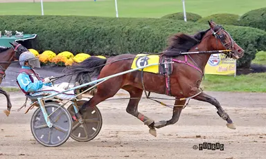 Delaware County Fair:  Speedbewithyou surprises in Ohio Breeders Championship