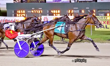 Breeders Crown:  Neuzko Kamado S erases her own track record in 3YO Filly Trot final