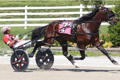 Oak Grove:  Track record performance by Show Me Your Ace in Kentucky Sire Stakes