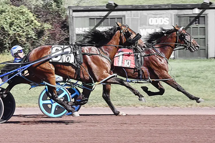 Shalom Hanover 9-7-26