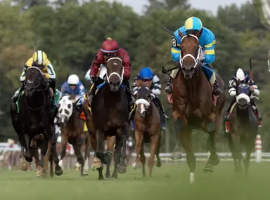 Wood Island captures Skidmore in turf debut