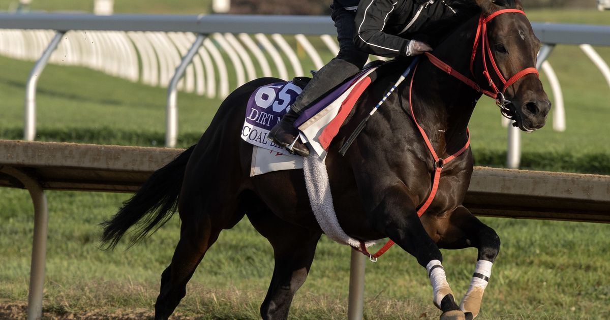 Breeders' Cup Clocker: Plenty of stars on the track