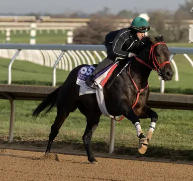 Breeders' Cup Clocker: Plenty of stars on the track