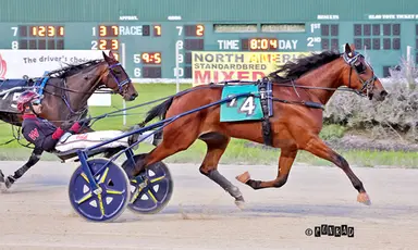 Scioto:  Secrets Ilia, Blue Ranger collect Ohio Sires Stakes victories