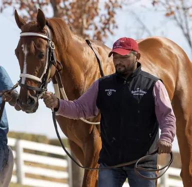 Rich Strike adds juice to Keeneland horses of racing age sale