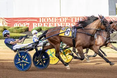 Red Mile:  Melander fillies break through in International Stallion Stakes