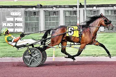 Pocono:  Papi Rob Hanover-sired pair post Pennsylvania All-Stars victories