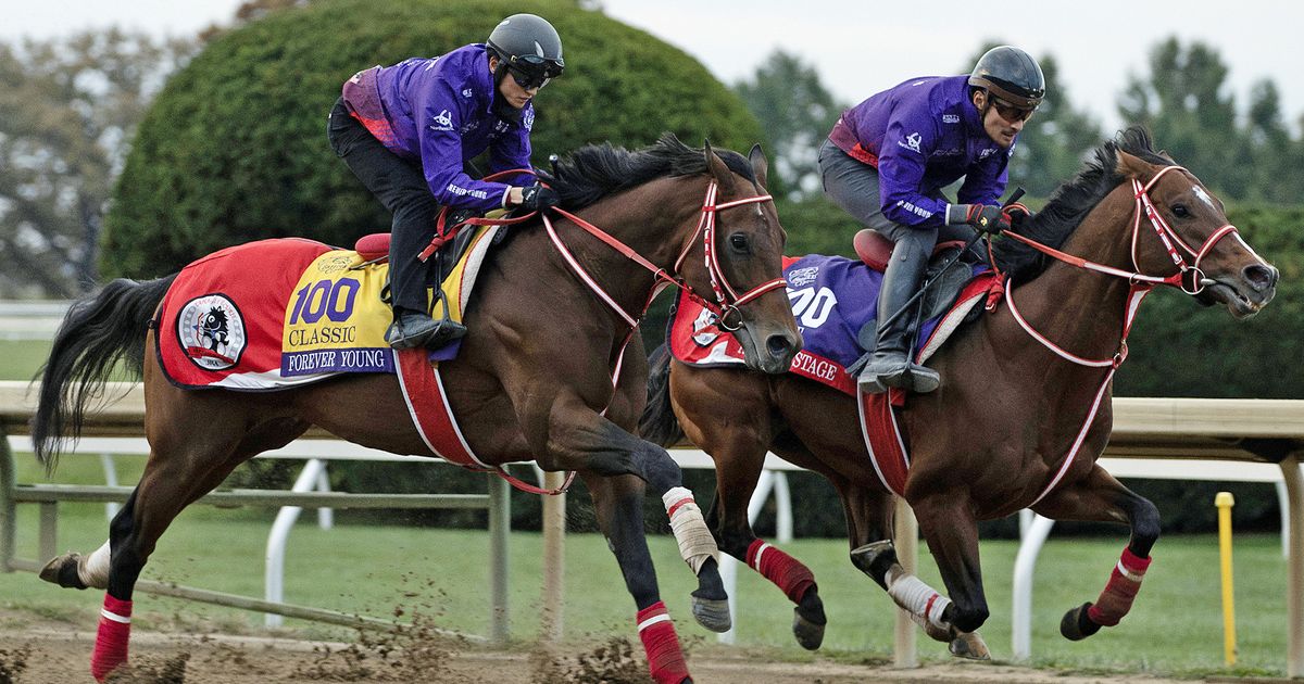 Breeders' Cup Clocker: Forever Young impresses visually in final work for Classic