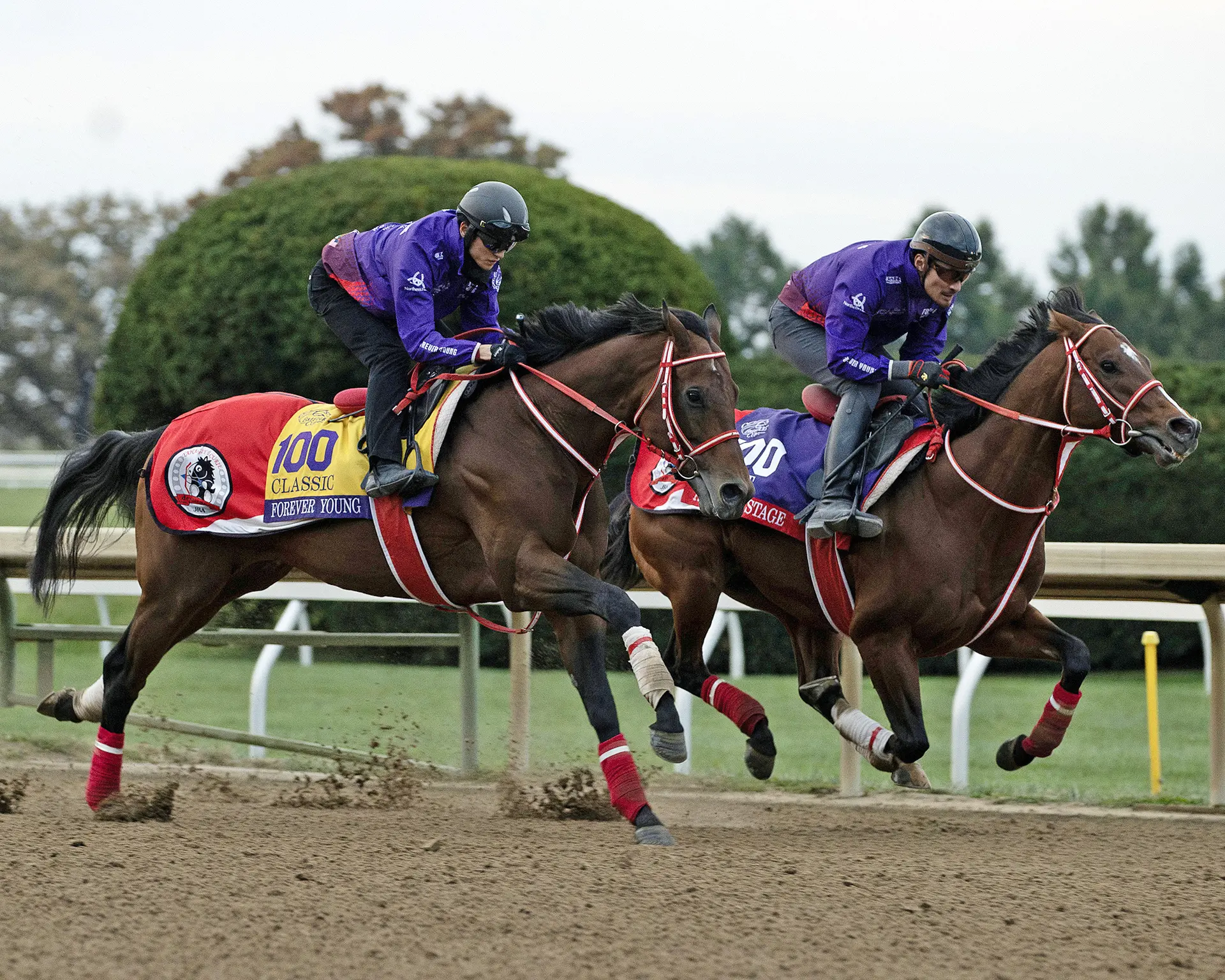 Breeders' Cup Clocker: Forever Young impresses visually in final work for Classic