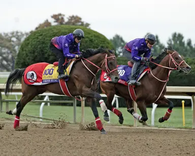 Breeders' Cup Clocker: Forever Young impresses visually in final work for Classic