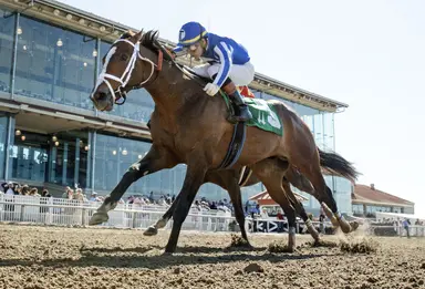 Pennsylvania Derby: Our Moneyman looks to parlay cleaner trip into upset