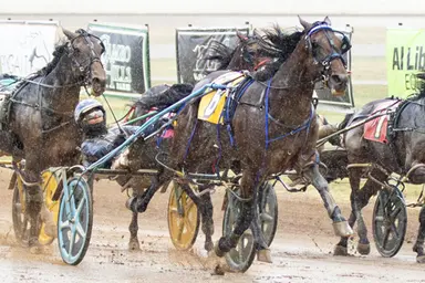 Red Mile:  Prince Hal Hanover, Twin B Joe Fresh deliver in Allerage Open Paces
