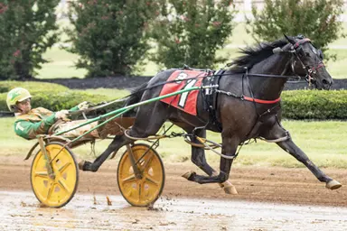 Red Mile:  Rumble And Sway routs rivals in Bluegrass Stakes