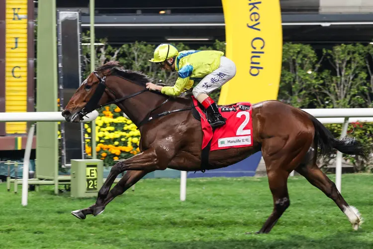 Aurora Lady / Happy Valley
