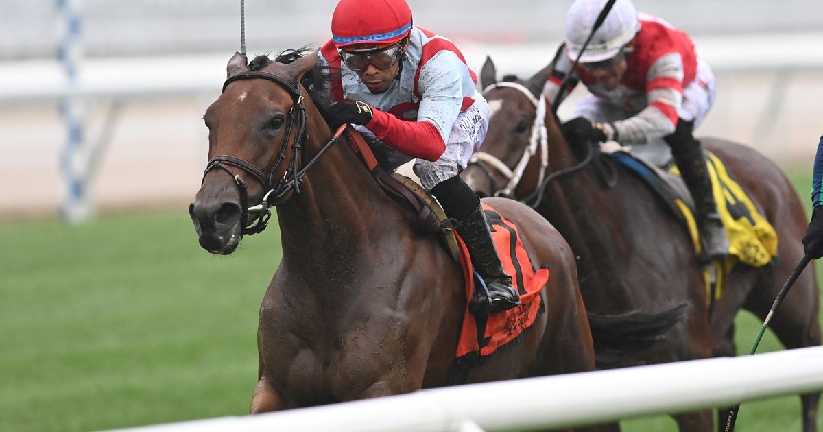 Dynamic Pricing Wins $175K Forever Together Stakes at Belmont Park