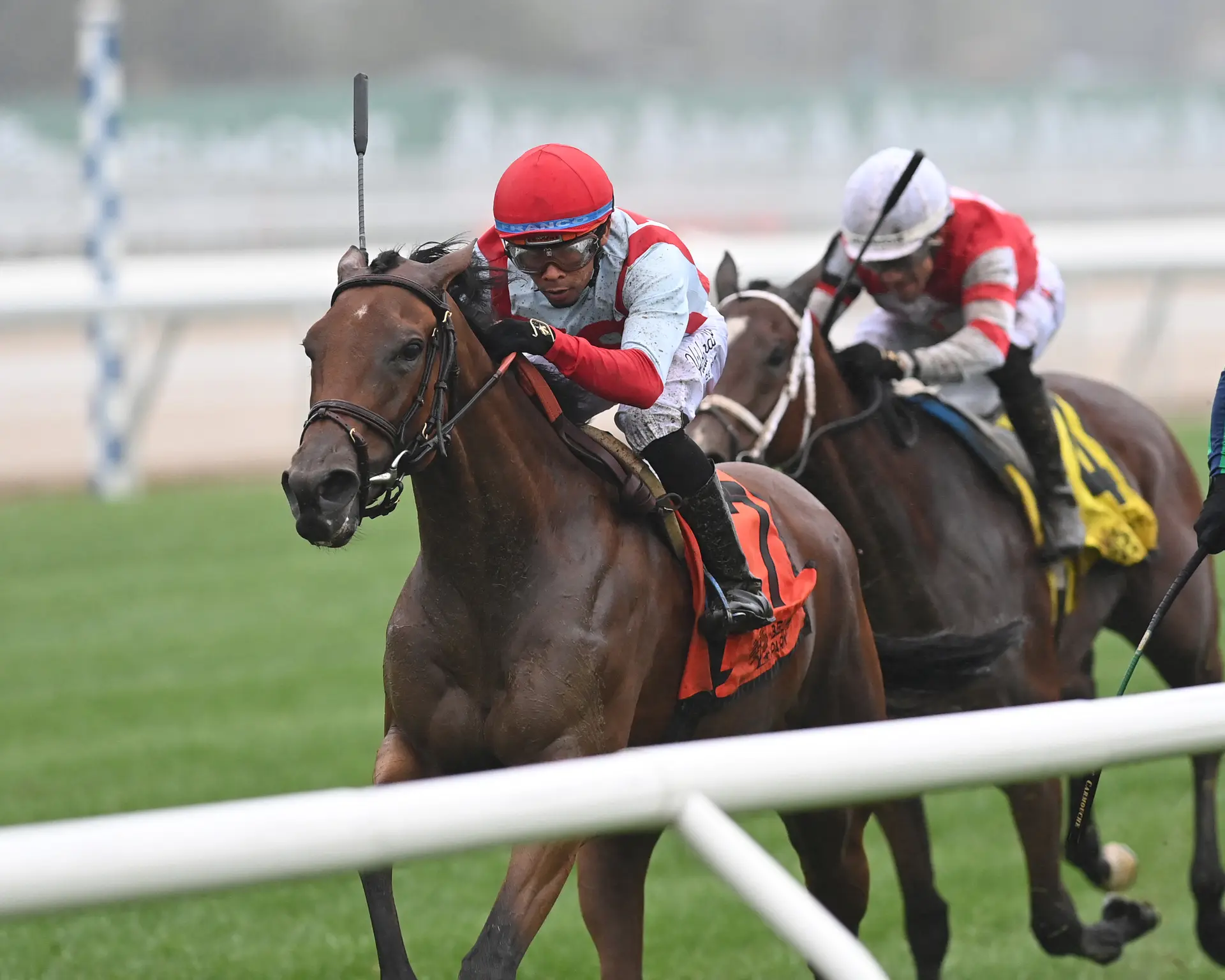 Dynamic Pricing catches Modarosa in Forever Together