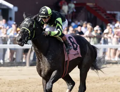 DRF's Horse Racing Playbook for Thursday, Oct. 22, 2026