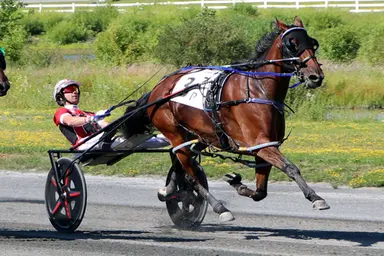 Plainridge:  Twin B Joe Fresh conquers in Clara Barton, surpasses $3 million in earnings