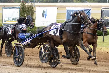 Red Mile: Magic Punk, Neighver Punt rule in Bluegrass Male Trots