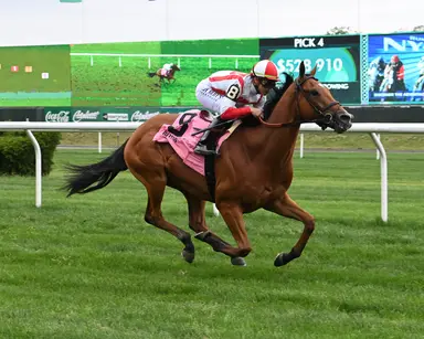 Brad Free's Del Mar Horses to Watch for week of Nov. 29-Dec. 1, 2024