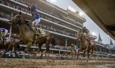 Into Mischief, Medaglia d'Oro make history as stallions
