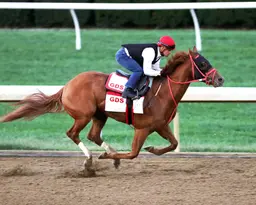 Breeders' Cup Clocker: Englishman, The Puma impress in penultimate drills