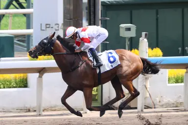 Definitive dominates in Class 2 as Purton reaches milestone at Sha Tin