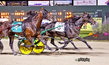 Breeders Crown:  Persistence pays off for Dandy Ideal in Open Pace final