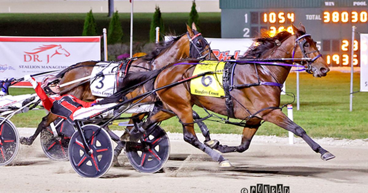 Breeders Crown: Twin B Joe Fresh overpowers rivals in Open Mares Pace final