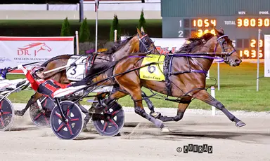 Breeders Crown:  Twin B Joe Fresh overpowers rivals in Open Mares Pace final