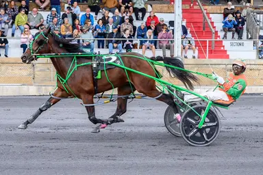 Shenandoah Downs:  Ballarddrgoldfngr prevails in one of four Virginia Sire Stakes finals 