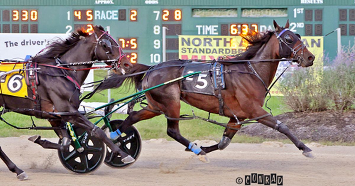Breeders Crown: Women Layer, Dandy Ideal conquer in Open Pace eliminations