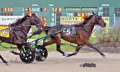Breeders Crown:  Women Layer, Dandy Ideal conquer in Open Pace eliminations