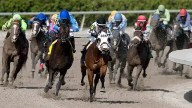 DRF's Horse Racing Playbook for Wednesday, March 29, 2023