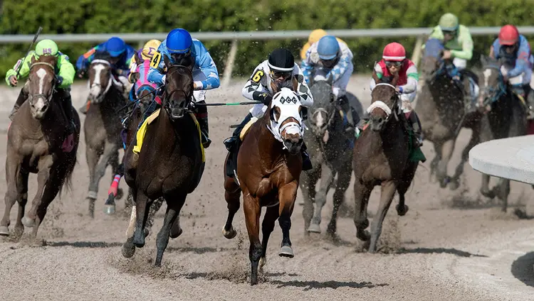 Gulfstream Park dirt racing, 2018