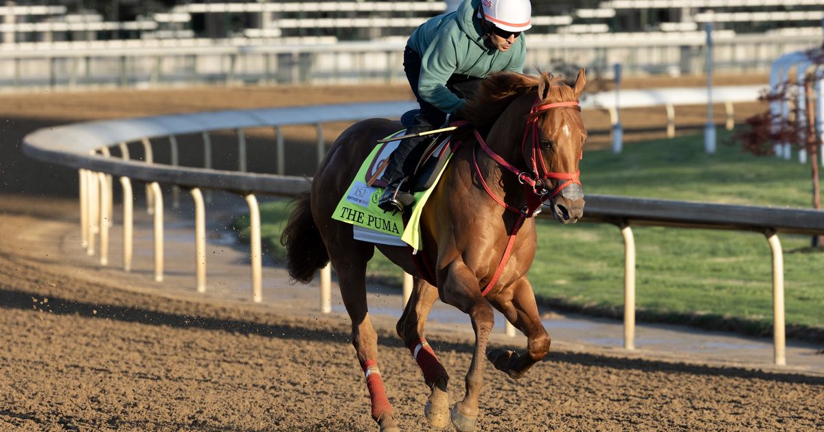 Kentucky Derby 2026: The Puma scratched due to swollen pastern