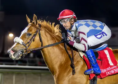 Highly Wicked puts perfect local turf record on the line in Turf Distaff