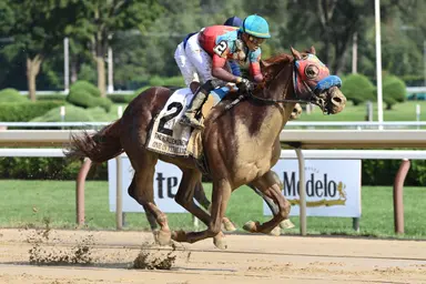 Grade 1 winner One in Vermillion retired after injury
