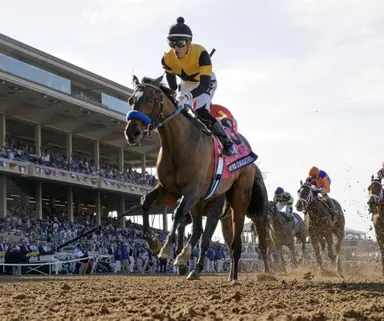 Super Corredra being pointed to Zenyatta Stakes
