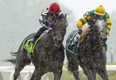 Leading Canadian sire Souper Speedy dies in paddock accident