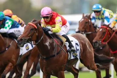 Exciting stretch for Newnham as My Wish squares up to Stewards’ Cup challenge