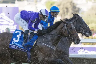 Weekend GamePlan: Picks for Tampa Bay Derby, Florida Oaks, San Simeon
